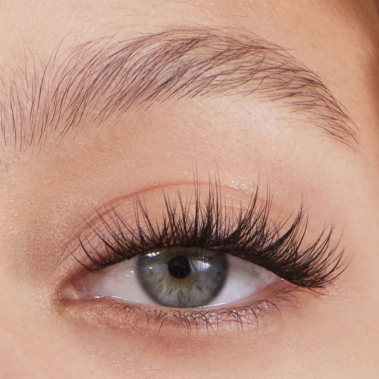 Golden Glow magnetic lashes SET